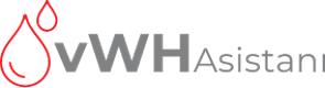 vWH Asistanı